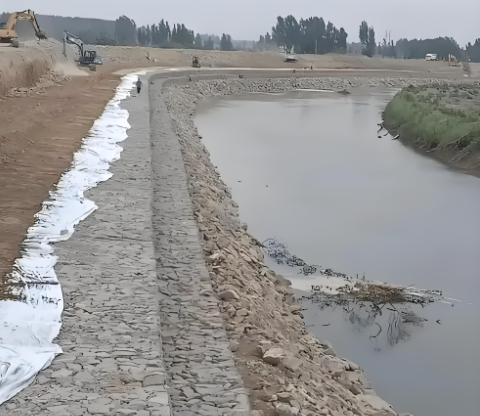 Ultimi blog aziendali su Gabion Mesh Machinery Empowering Green Infrastructure and Eco-Restoration Projects