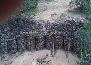 comprare La rete metallica esagonale immersa calda/PVC ha ricoperto i canestri del gabbione del cavo per rinforza il tessuto fabbricazione online